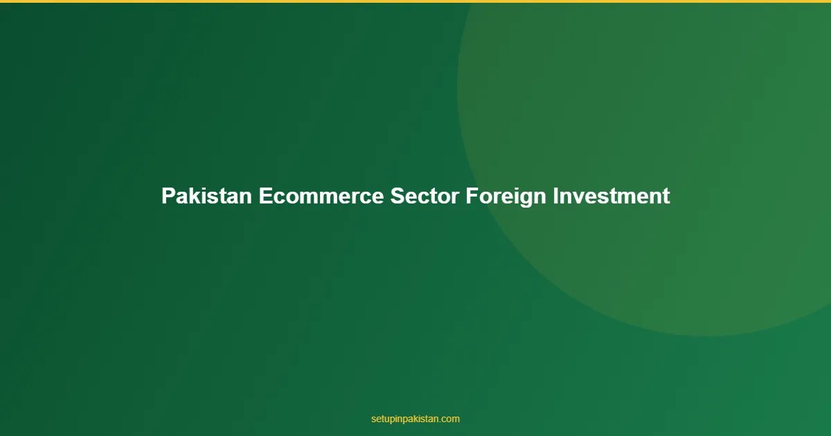 Pakistan E-Commerce — Foreign Investment Growth 2026 1 Pakistan E-Commerce infographic for foreign investors