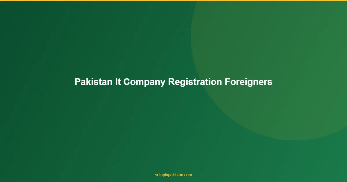 Pakistan IT Company Registration for Foreigners — PSEB Guide 1 Pakistan IT Company Registration for Foreigners comprehensive guide visual