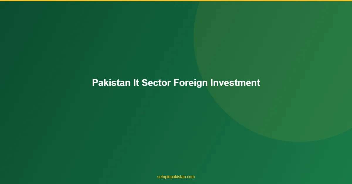 Pakistan IT Sector — Foreign Investment Opportunities 2026 1 Pakistan IT Sector infographic for foreign investors