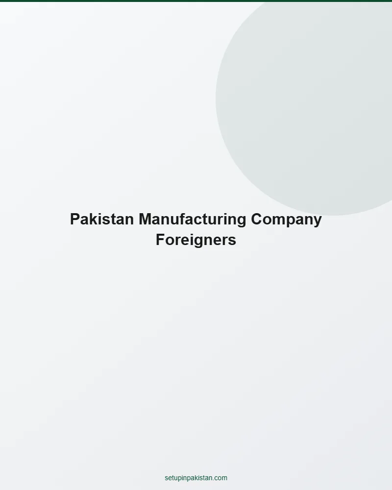 Pakistan Manufacturing Company for Foreigners — SEZ and BOI 2 Step-by-step infographic for pakistan manufacturing company for foreigners