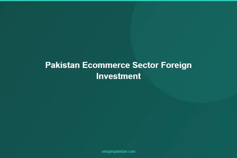 Pakistan E-Commerce — Foreign Investment Growth 2026 2 Pakistan e-commerce market size chart 2020-2030