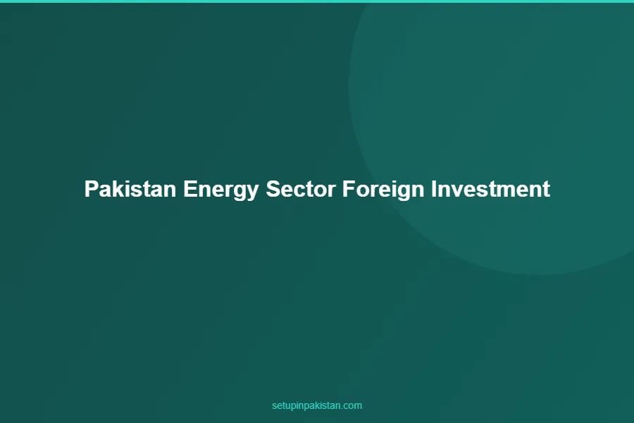 Pakistan Energy Sector — Foreign Investment Guide 2026 2 Pakistan energy sector market size chart 2020-2030