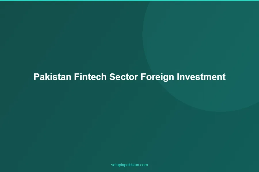 Pakistan Fintech — Foreign Investment and SBP Licensing 2026 2 Pakistan fintech market size chart 2020-2030