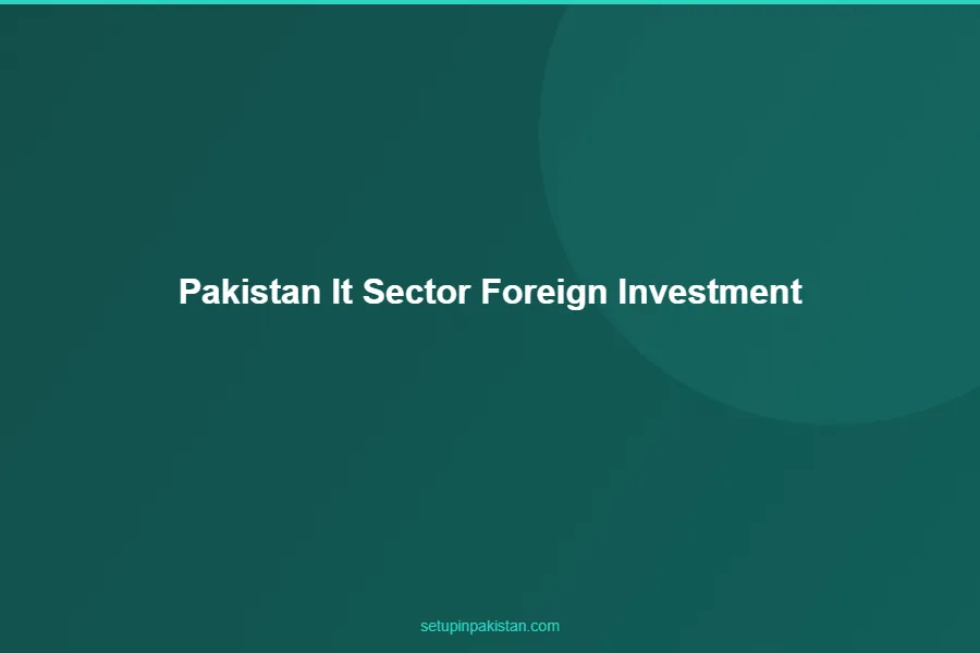 Pakistan IT Sector — Foreign Investment Opportunities 2026 2 Pakistan it sector market size chart 2020-2030