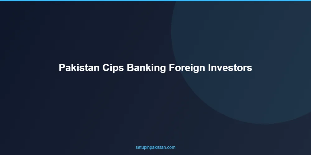Pakistan CIPS Banking for Foreign Investors — Yuan Clearing 2 Step-by-step process for pakistan cips banking for foreign investors